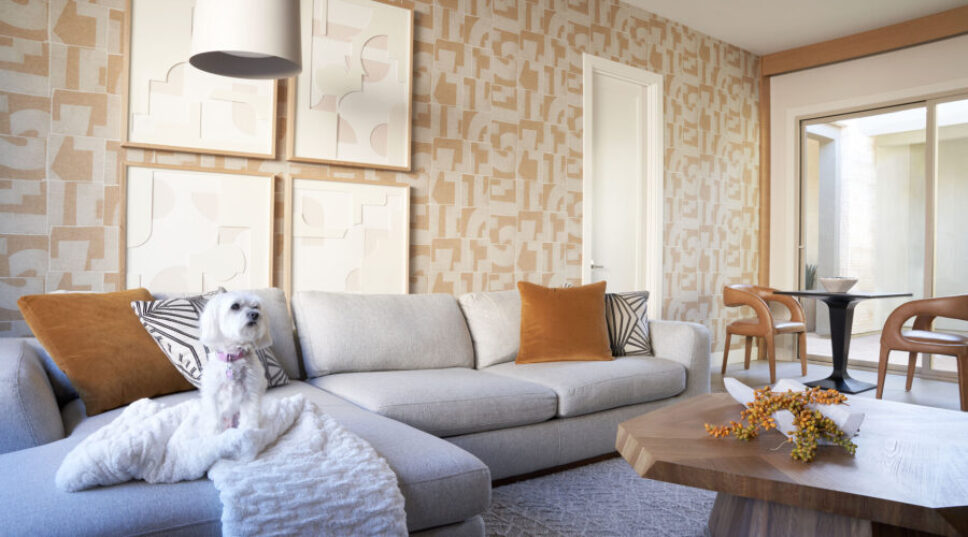 8 Dog-Friendly Furniture and Decor Pieces That Actually Look Chic