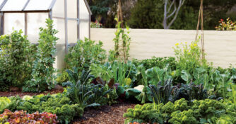 Cornerstone Vegetable Garden Trellis