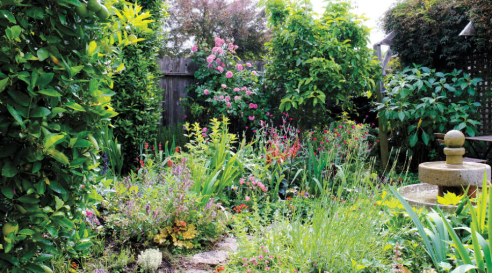 How to Create a Summer Garden That Smells Amazing