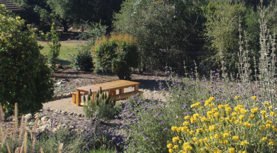 How to Design a Backyard That Feels 10 Degrees Cooler