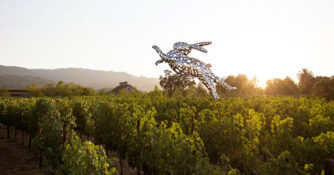 Hall Wines Art Rabbit