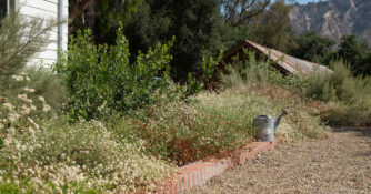 Heat Proof Garden Morgan Ramirez