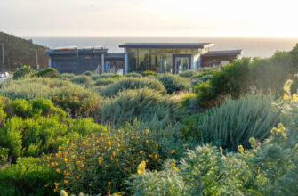 Lands End Lookout Golden Gate National Recreation Area Shrubs