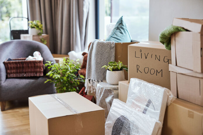 Moving Boxes Organizing