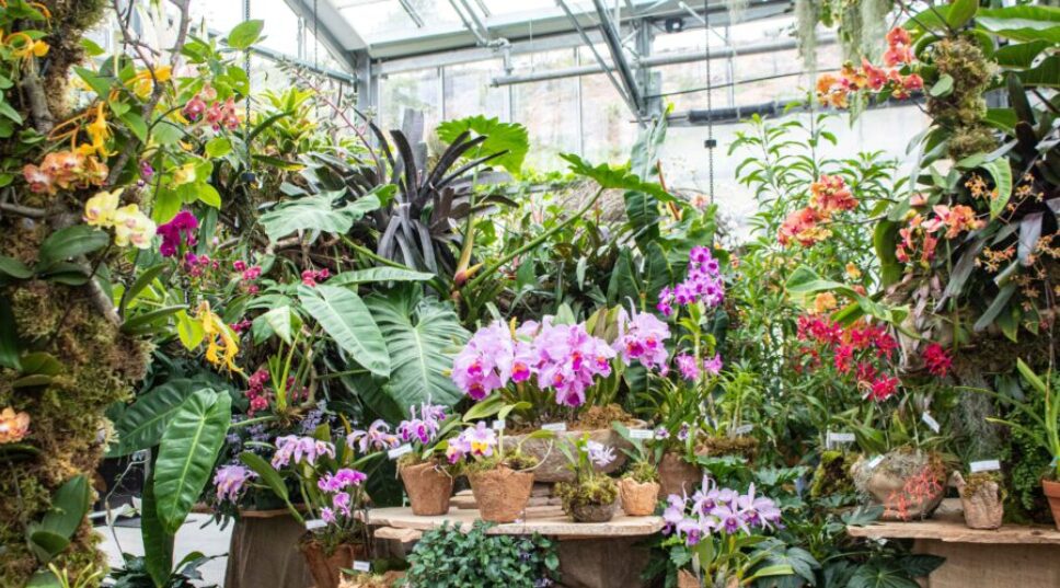 This Is the Perfect Family-Friendly Garden Getaway in North County San Diego