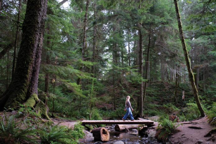 Orcas Island Cascade Falls Trail