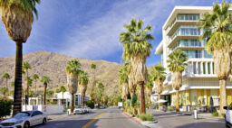 Palm Springs Street