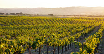 Paso Robles