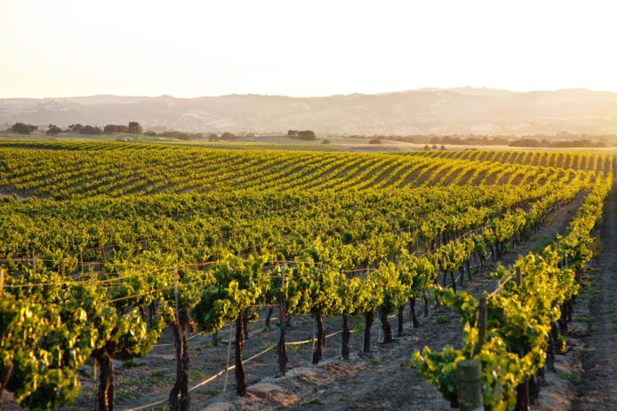 Paso Robles