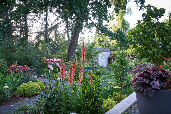 Pine House Edible Gardens Shed