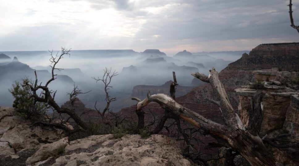 The Raging Megafire in One of the National Parks Has Grown to the Largest in the Country