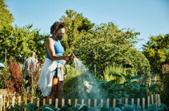 Watering Garden