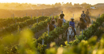 Temecula Horseback Riding